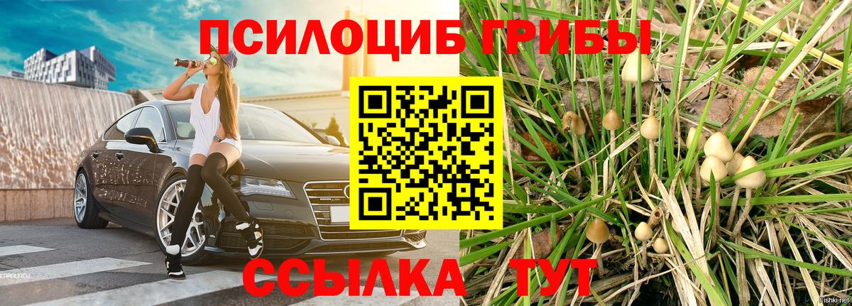 Владикавказ  Псилоцибиновые грибы прущие грибы  Вход с VPN  Псилоцибиновые грибы ЛСД 